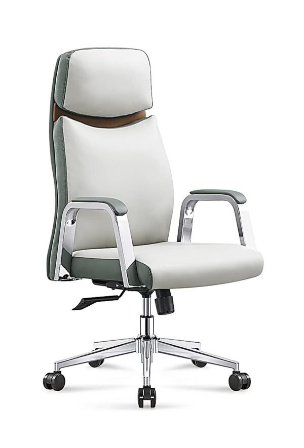 Recliner options executive office chair